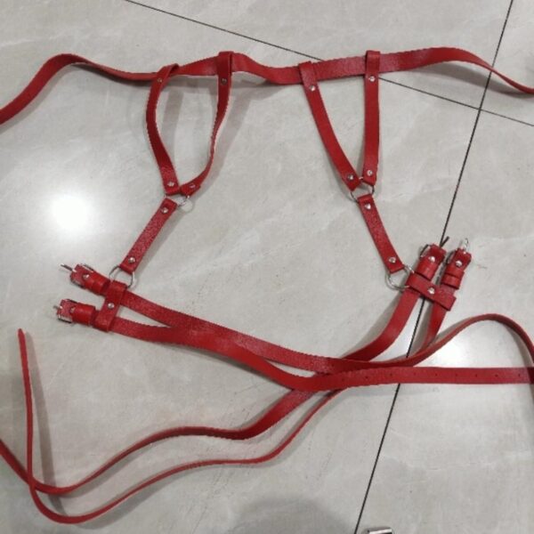 Queen Leather Leg Bindings & Belt - Image 3