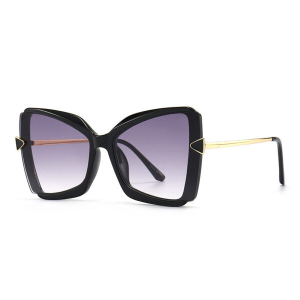 Street Shooting Show Sunglasses - Image 6