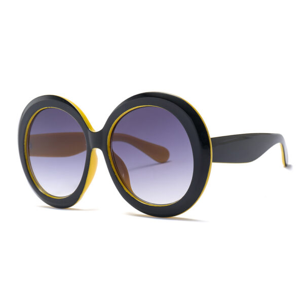 Stylish Round Large Frame Sunglasses - Image 5