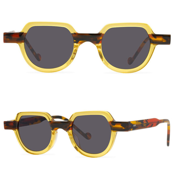 Niche Retro Literary Style Resin Sunglasses